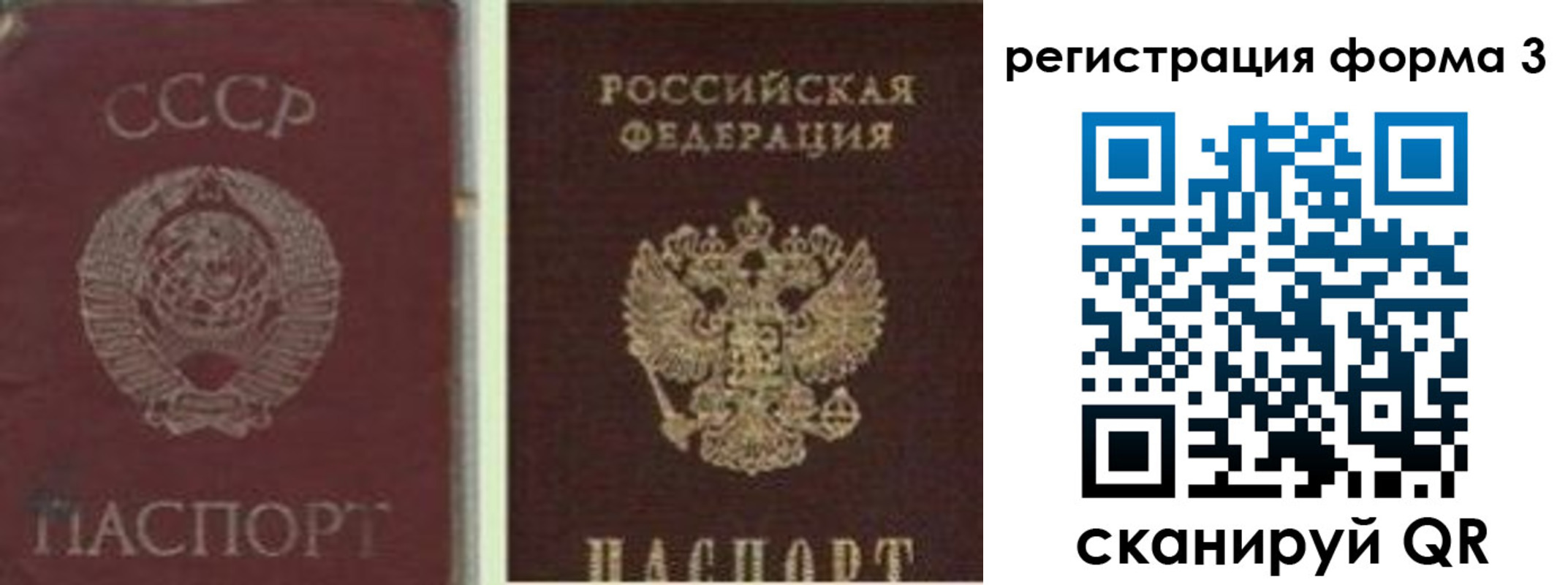прописка для школы в Шумихе
